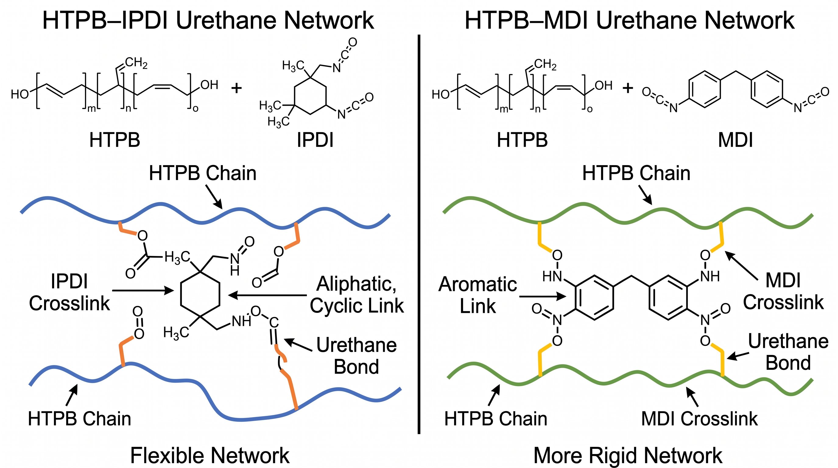 Comparison of flexible HTPB-IPDI and more rigid HTPB-MDI urethane networks.
